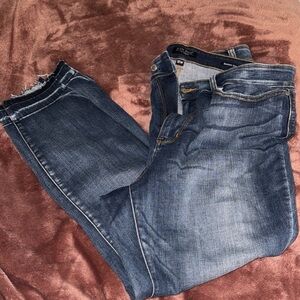 Judy Blue Dark Wash Skinny Jeans 18W